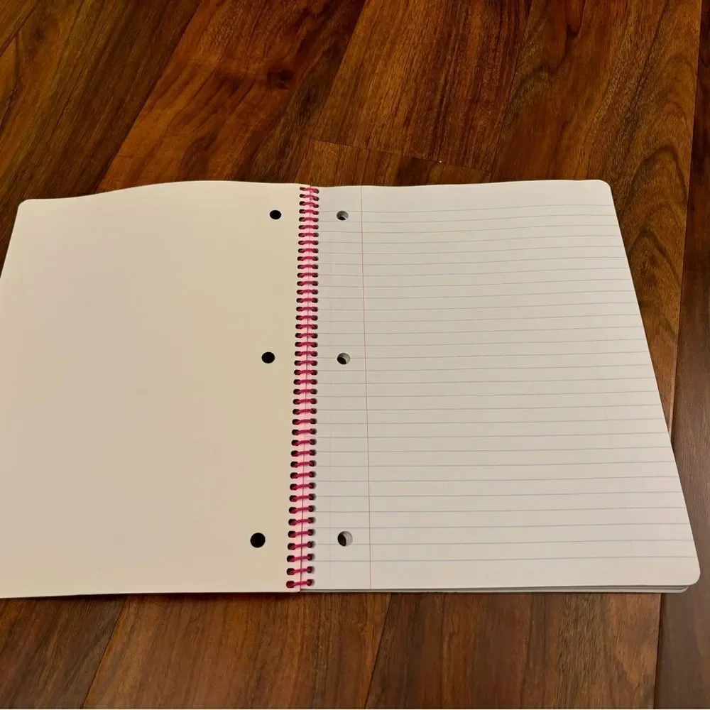 Strawberry Shortcake y2k 2006 lined paper spiral notebook unused